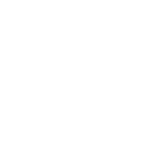Revvr